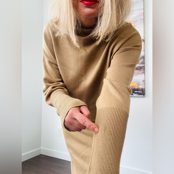 ARITZIA Wilfred Cyprie Sweater Dress - Picture 4 of 16